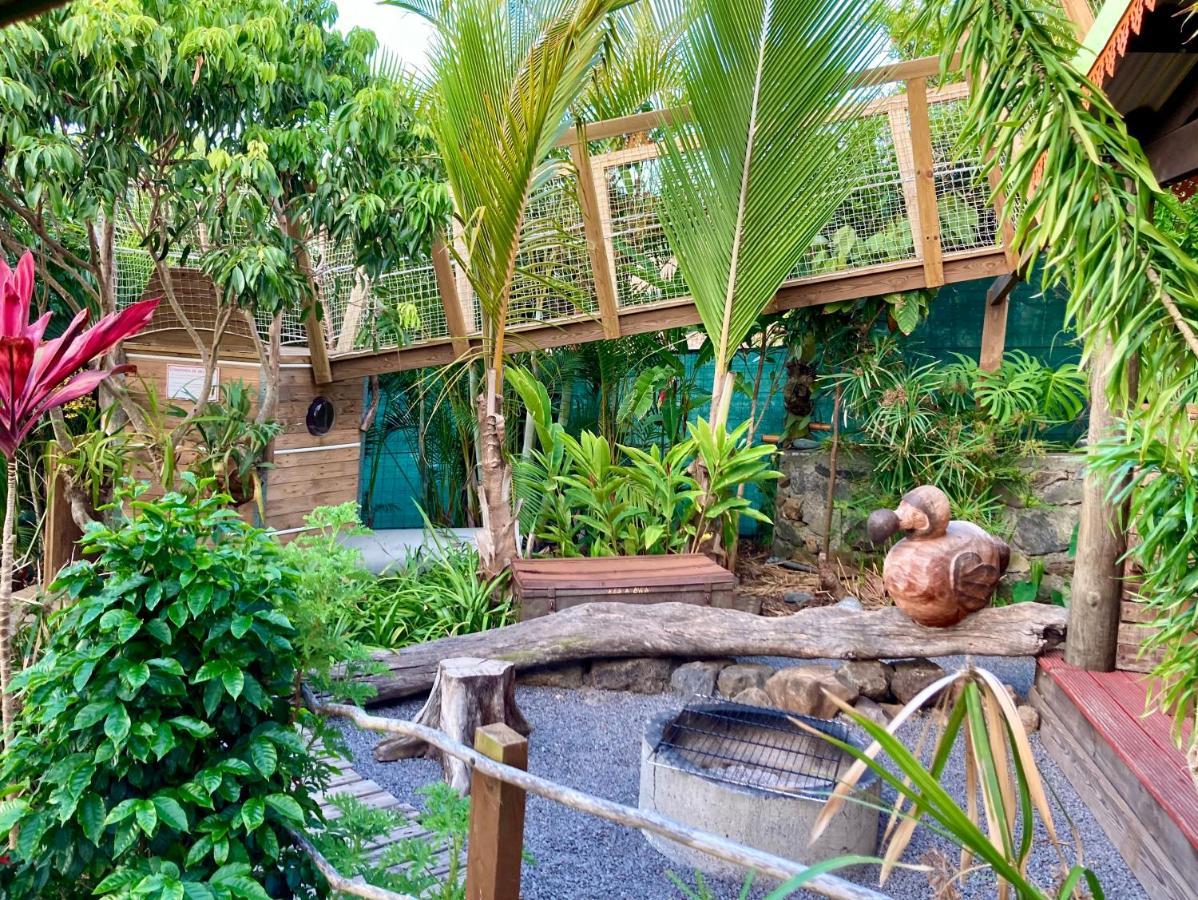 Le Repaire Du Dodo Villa La Saline Les Hauts ภายนอก รูปภาพ